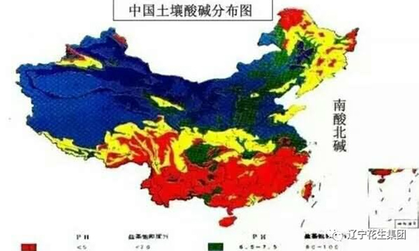 农业小知识--土壤病了✊🏿！用再多肥料也白瞎💆🏿‍♀️📩！